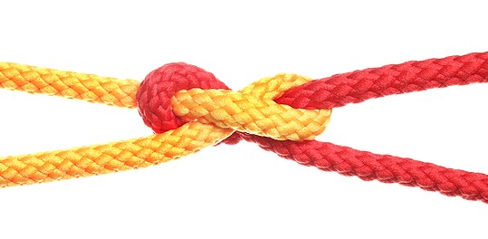 B2B Customer Retention Strategies that Work