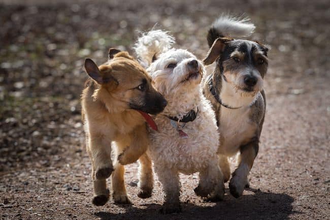 80% of Customer Loyalty is Driven by These 3 Service Attributes