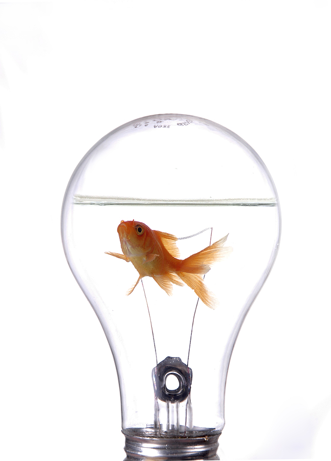 How To Drive Customer Experience Innovation Using Transactional NPS®