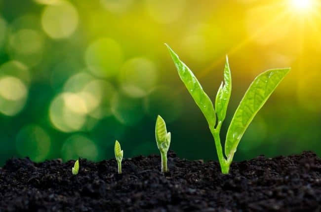 Easy Steps to Effective Lead Nurture Implementation